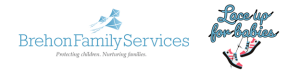 Lace Up for Babies 2026 logo