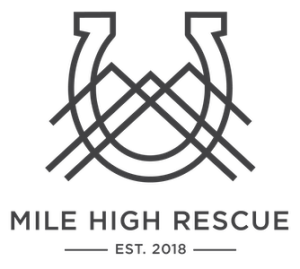 Mile High Rescue Sixth annual 5K!  Running for Rescues!  & Summer Kick Off Party logo