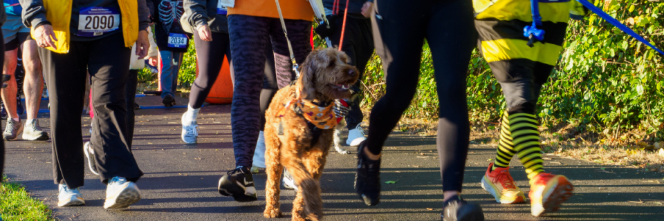 Bolingbrook Howl-O-Ween 5K