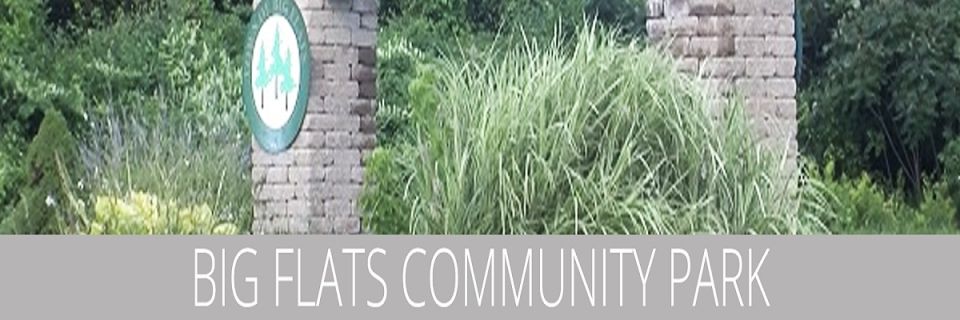 Big Flats Community Days 5k