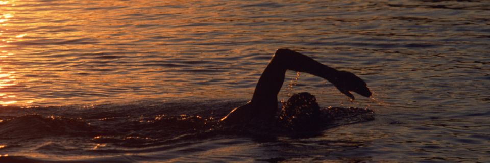 Moraine Open Water Swim Clinics