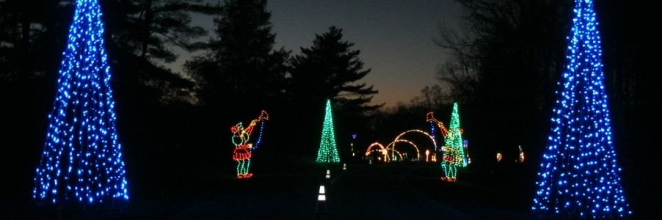 MCRRC Run Under the Lights