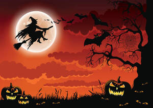 Witch Way logo