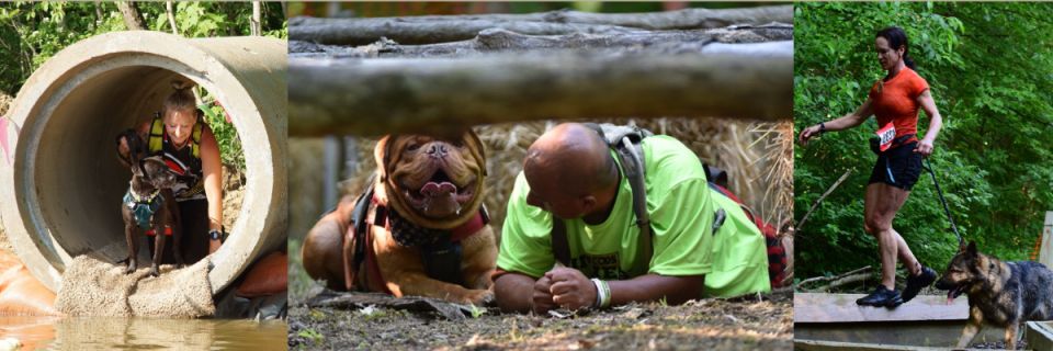 Midwest Canine Obstacle Run