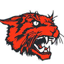 Firelands 5K Road Race sponsored by Dr. Michael Collins logo