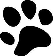 Jungle Jog 5k logo