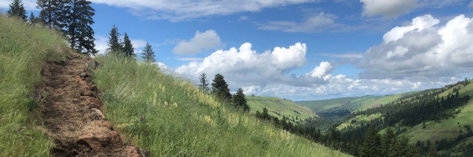 Jasper Mountain Trail Fest 2026
