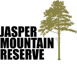 Jasper Mountain Trail Fest 2026 logo