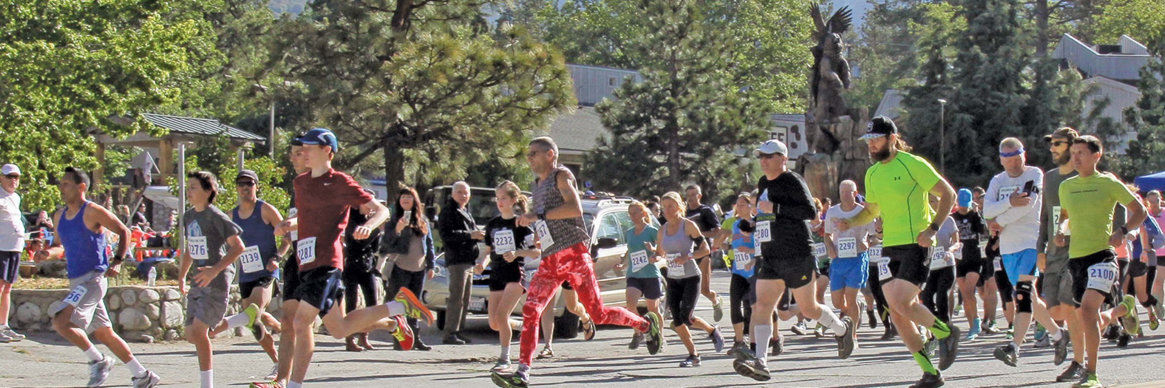 Idyllwild Race 5K / 10K
