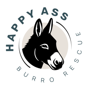 River & Rails Donkey Dash logo