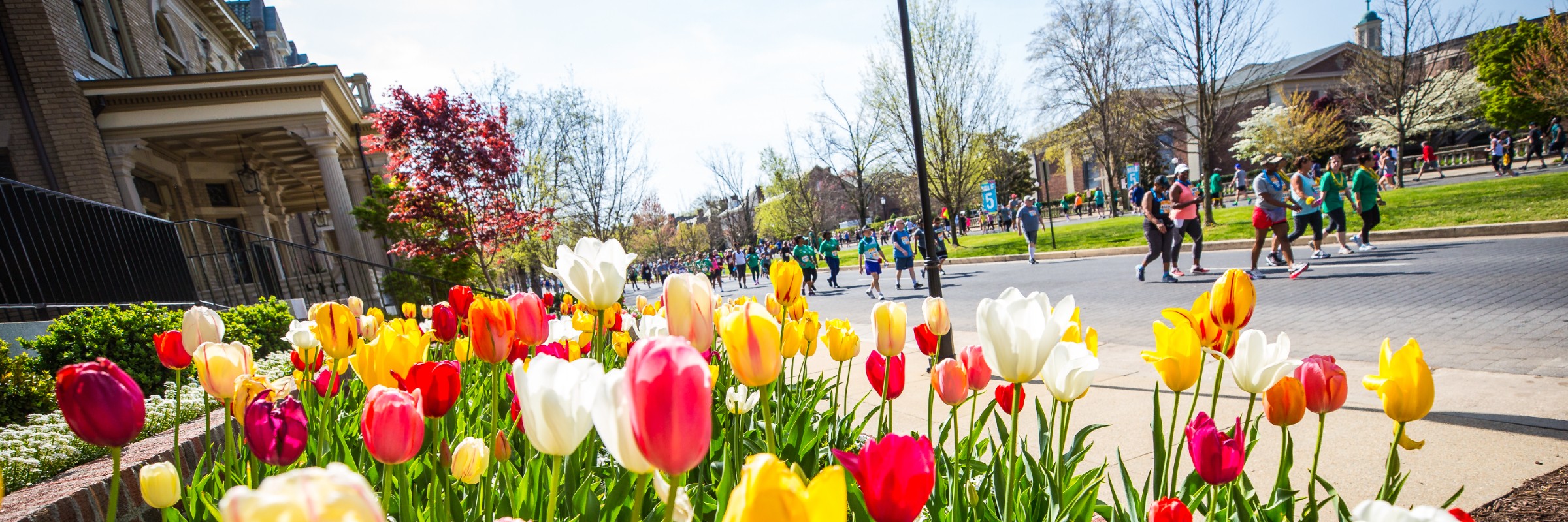 Ukrop's Monument Avenue 10k presented by Kroger