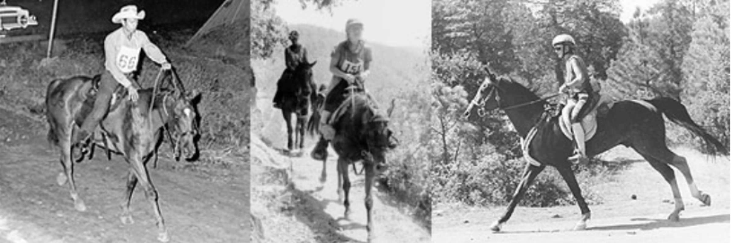 2026 Virtual Tevis Cup - Western States Trail - 100 Miles in 100 Days