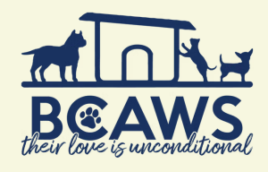 Run for BCAWS! logo