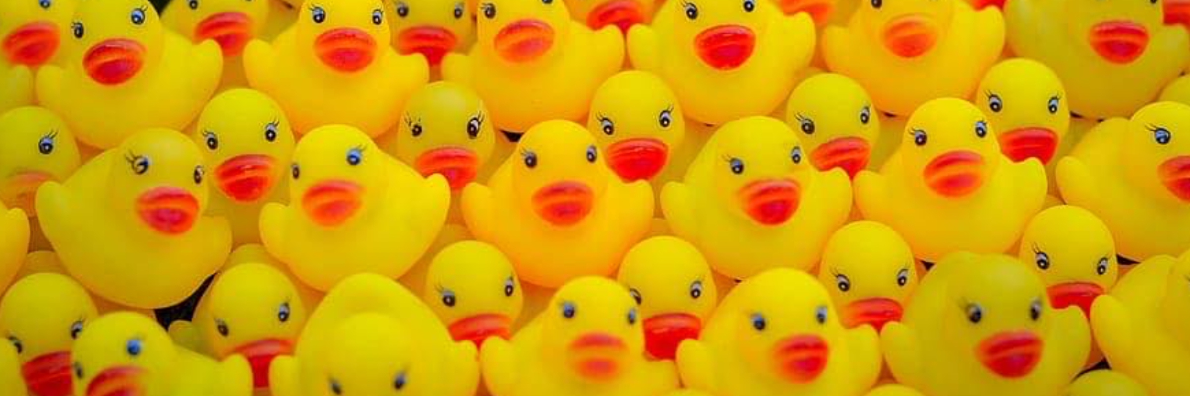 2026 Corn Ducky 5K and Youth Waddle