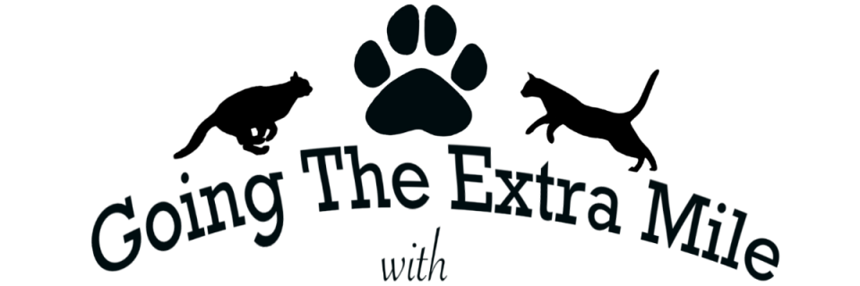 Barnie's Place 5K Race: Go the Extra Mile
