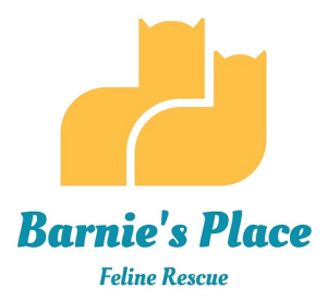 Barnie's Place 5K Race: Go the Extra Mile logo