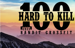 Bandit HTK Virtual 100 logo