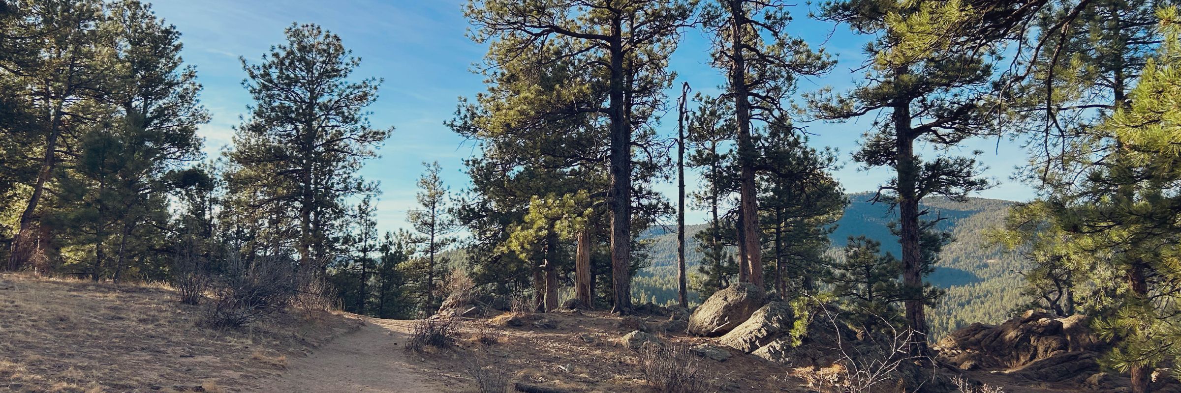 The Great CO74 Trail Run