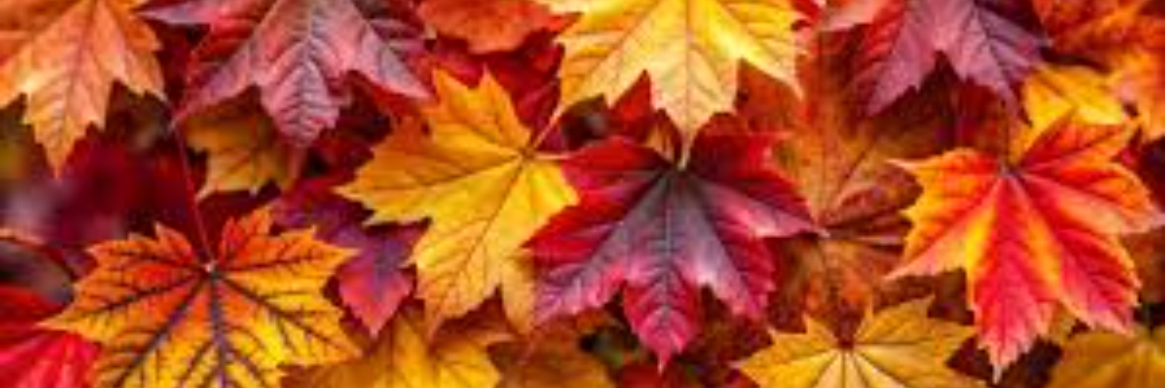 Covington Autumn 5K and Fun Run
