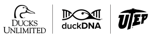 duckDNA Application Portal logo
