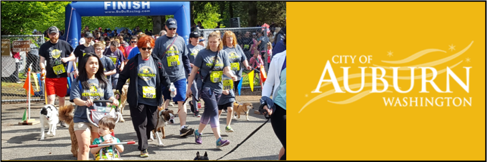 Auburn Dog Trot