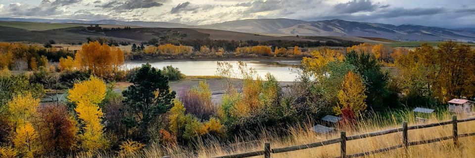 Falla Walla Half Marathon, 10K & Heroes 5K Run