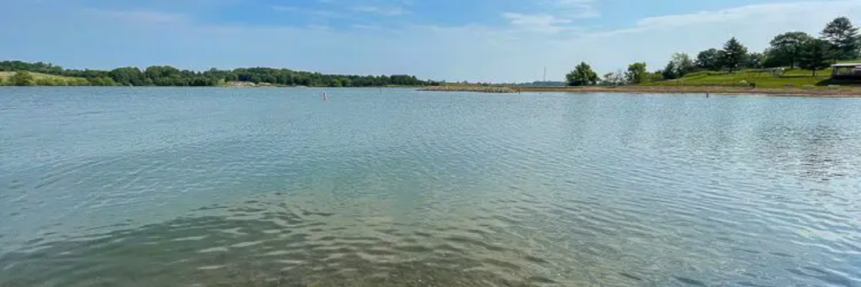 Timber Tri