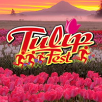 Wooden Shoe TulipFest Run logo