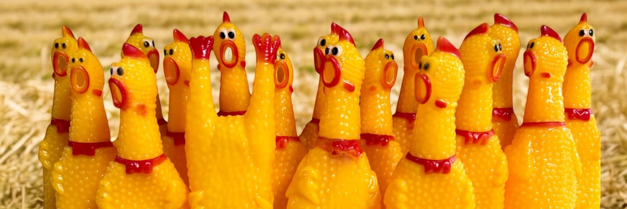 Run Like a Rubber Clucker