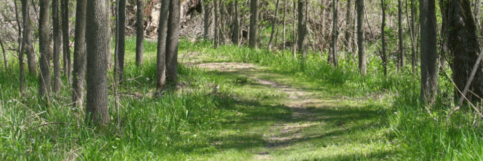 Walk on the Wild Side