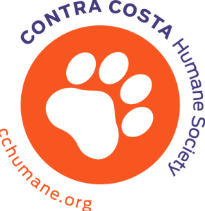 Walk for Paws logo