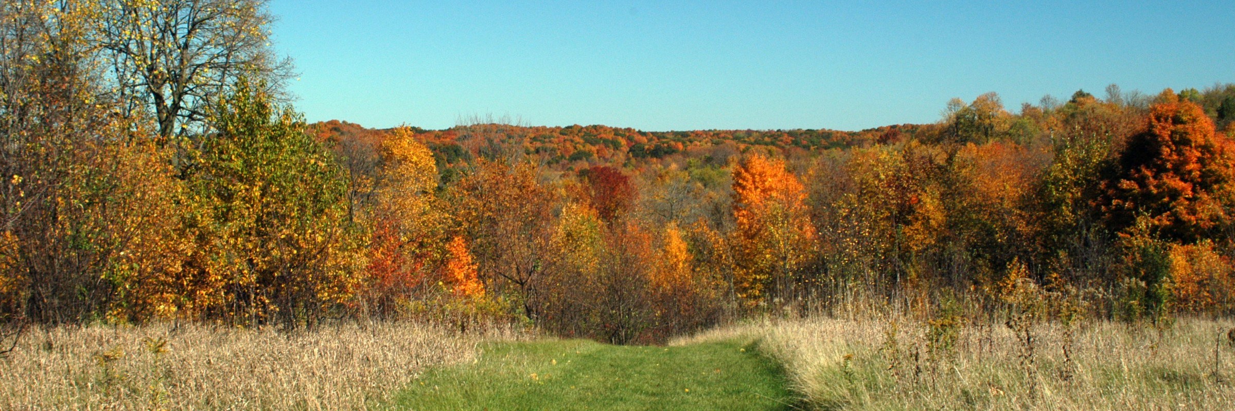 Race For Open Space