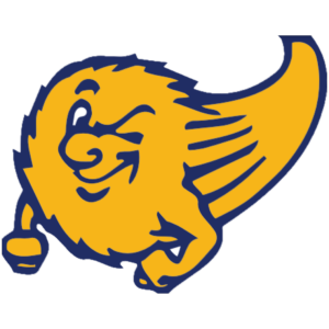 Comet 5k run/walk logo