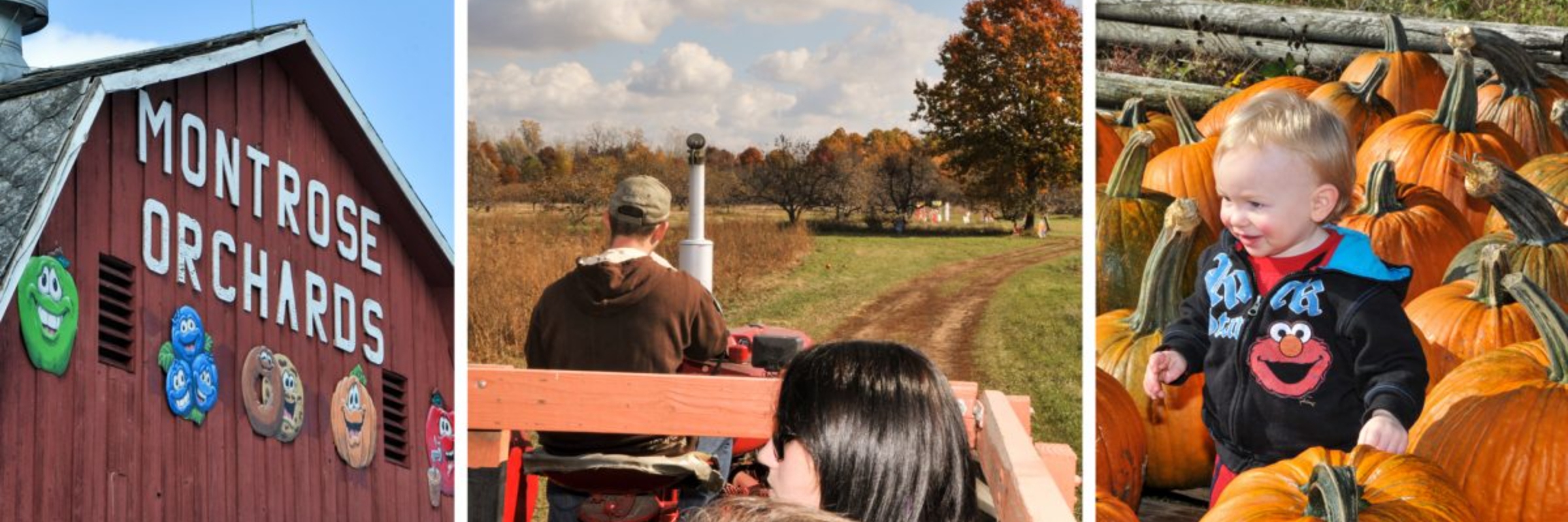 Montrose Orchards Cider Run 5K