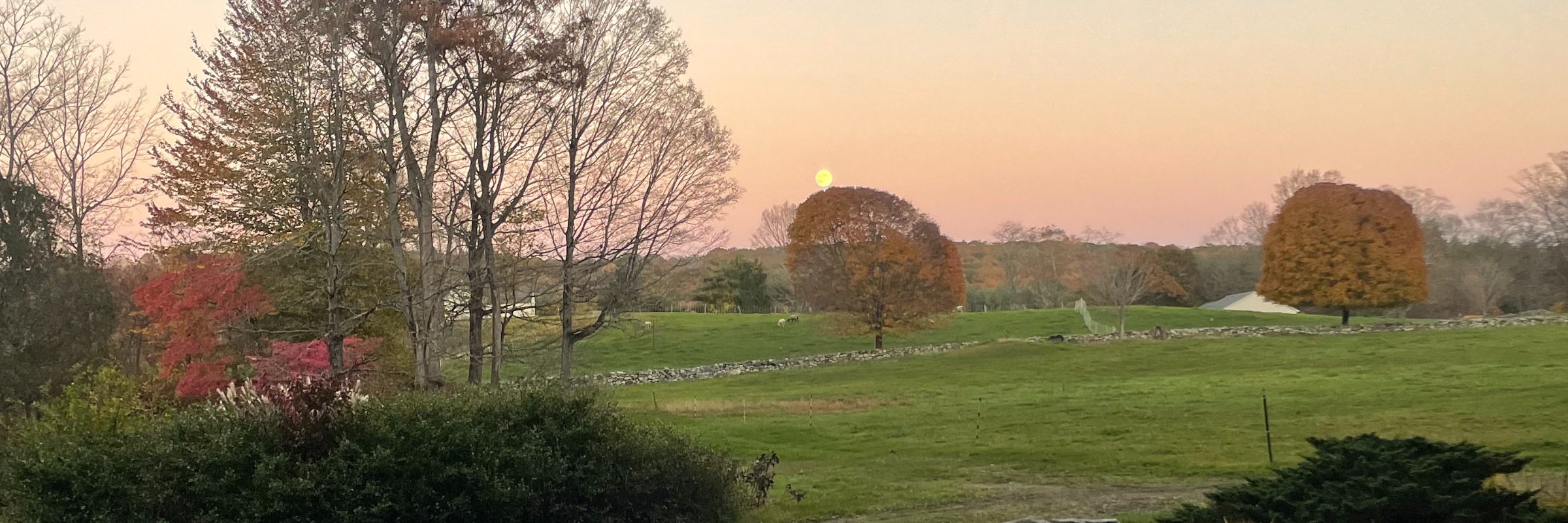 Hayfield Hustle and Oktoberfest at New Pond Farm