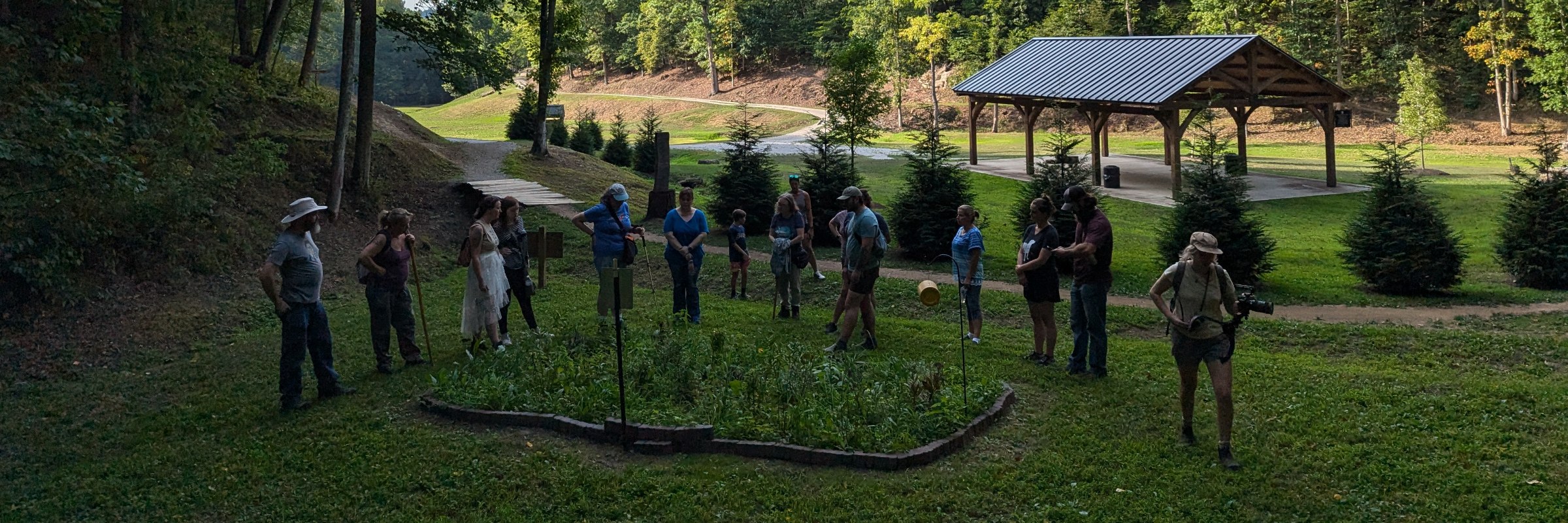 MMTA Wild Edibles and Medicinal Plant Walk