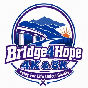 Bridge 4 Hope 4K & 8K logo