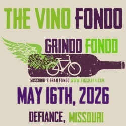 Vino Fondo logo