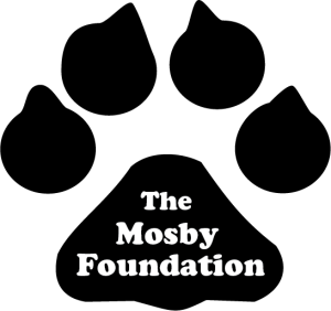 The Mosby Foundation 5K Run logo