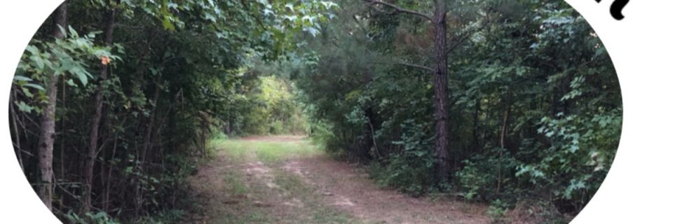 Tomahawk Trail Endurance Challenge