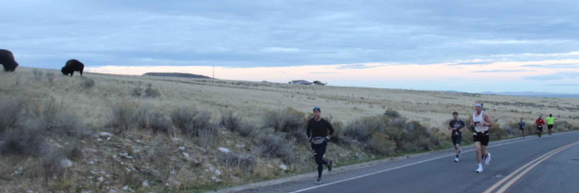 Antelope Island Marathon - 26.2 - 13.1 - 10K - 5K