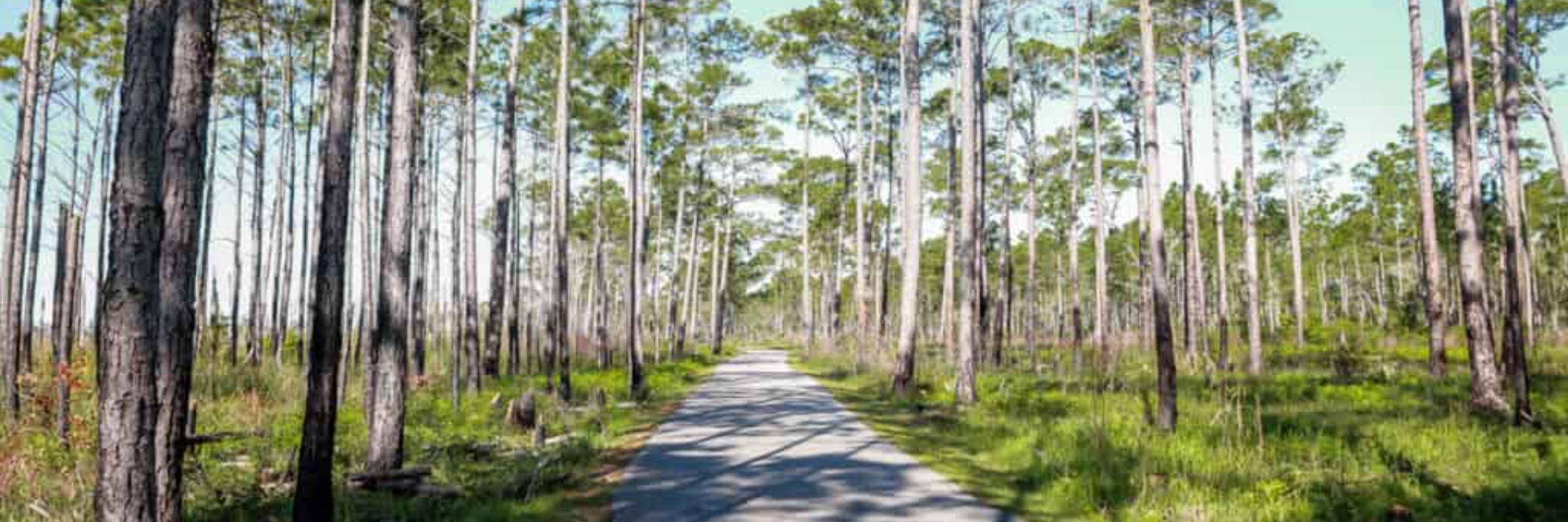 Emerald Coast Ultra