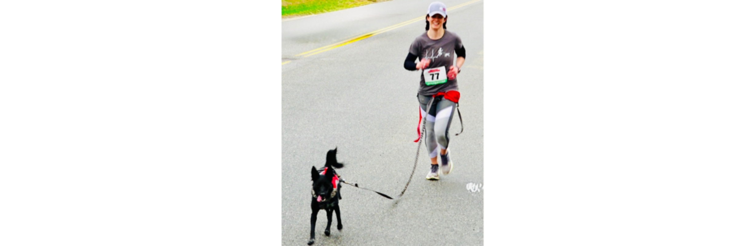 Jog Your Dog 5K