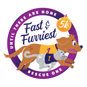 Fast and Furriest 5k Year 12 logo