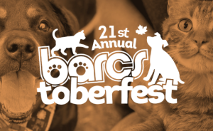 Ready, Set, Sniff! 5K at BARCStoberfest logo