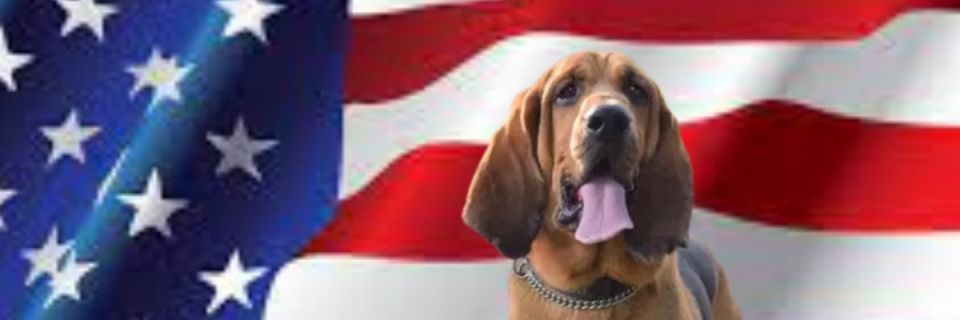"Copper the Bloodhound's K9 Mile RUCK/Walk" Benefitting Chesapeake K9 Fund
