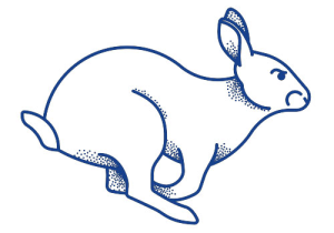 Iowa Trail Run Series: A Midsummer Night's Run logo