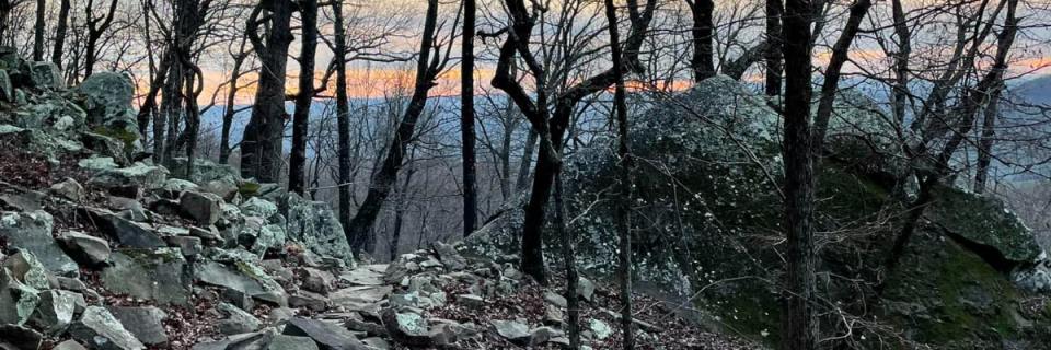 Grit and Guts Trail Race 2026