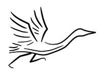 Tomorrow River Trail Half-Marathon logo
