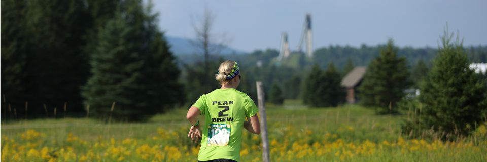 Peak 2 Brew: P2B ADK Relay